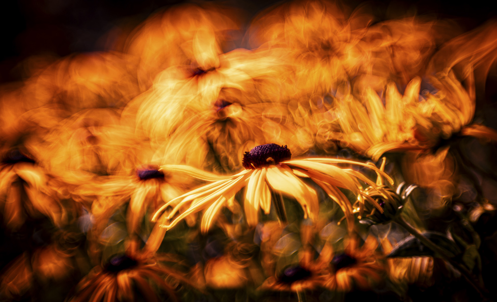 Platz 12 Sieglinde Senser